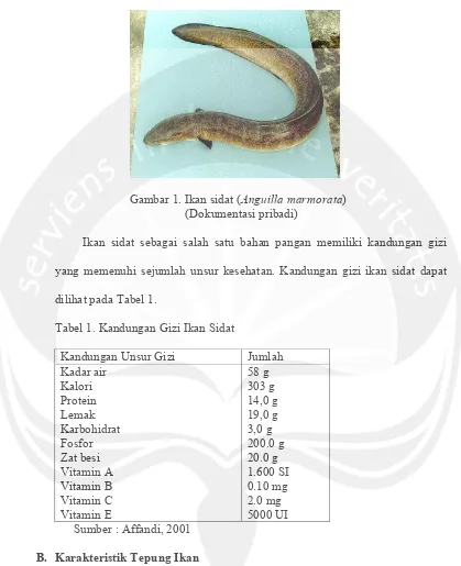 Tabel 1. Kandungan Gizi Ikan Sidat 