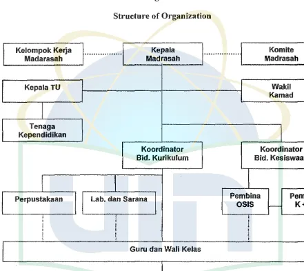 Structure Figure3 of Organization 