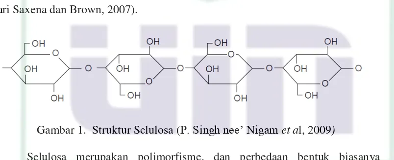 Gambar 1.  Struktur Selulosa (P. Singh nee’ Nigam et al, 2009) 
