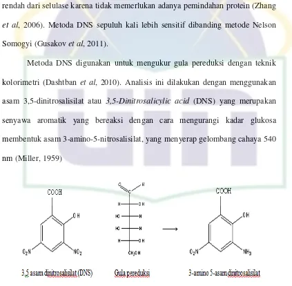 Gambar 5. Reaksi antara gula reduksi dengan reagen DNS 