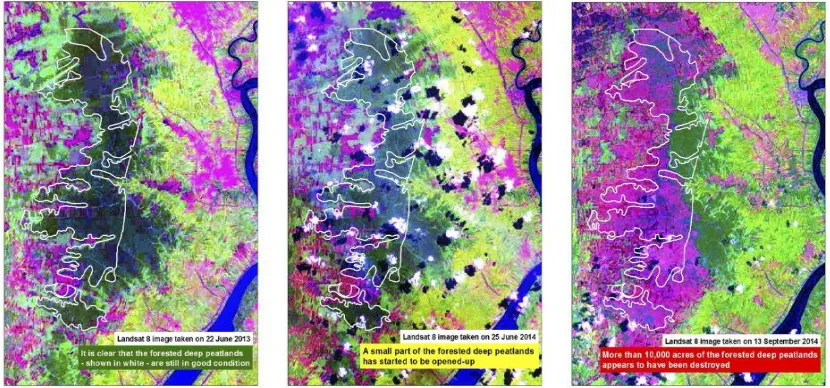 Gambar 1: Analisa citra Landsat 8 dari press release Greenomics1