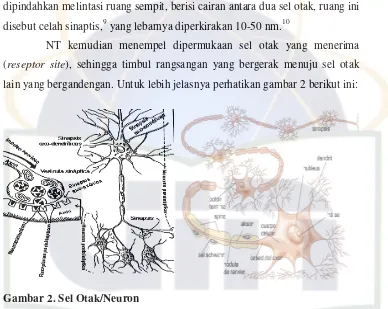 Gambar 2. Sel Otak/Neuron 