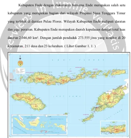 Gambar 1.1. Gambar Peta Propinsi Nusa Tenggara Timur 