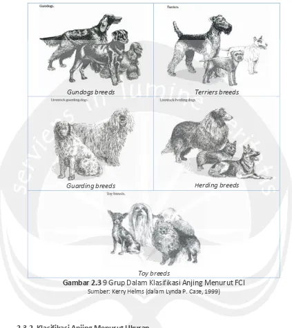 Gambar 2.3 9 Grup Dalam Klasifikasi Anjing Menurut FCI 