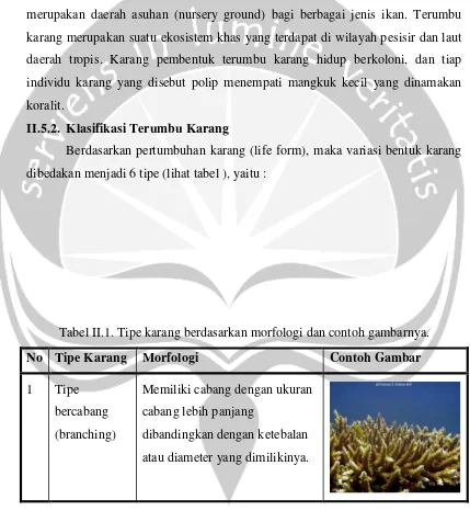 Tabel II.1. Tipe karang berdasarkan morfologi dan contoh gambarnya.