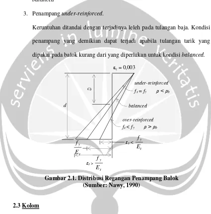 Gambar 2.1. Distribusi Regangan Penampang Balok