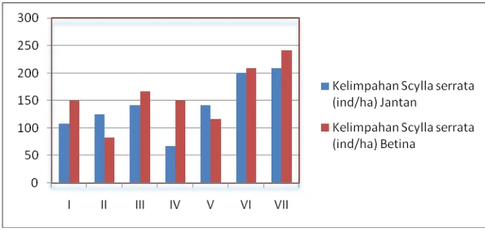 Gambar 4. Kelimpahan Kepiting Bakau Merah (Scylla serrata) Berdasarkan Jenis Kelamin  pada Tiap  Stasiun