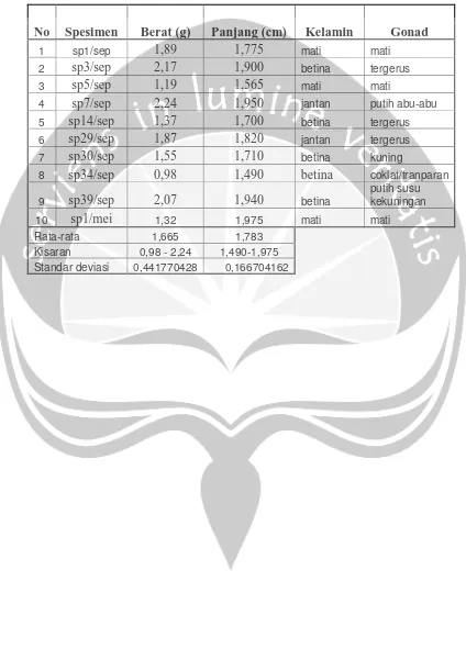 Tabel 3. Pengukuran Berat dan Panjang Cangkang, Pengamatan Jenis Kelamin          dan Gonad Kelompok I (Panjang Cangkang 1-2 cm)  