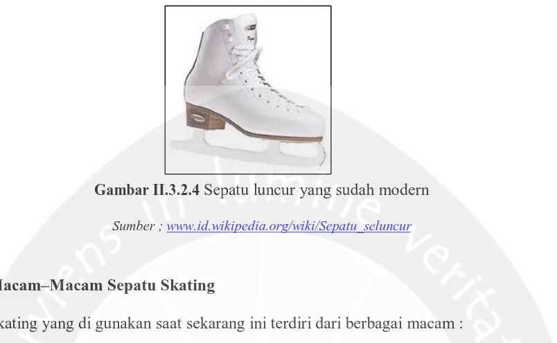 Gambar II.3.3.1 Sepatu  Ice Skating 1 