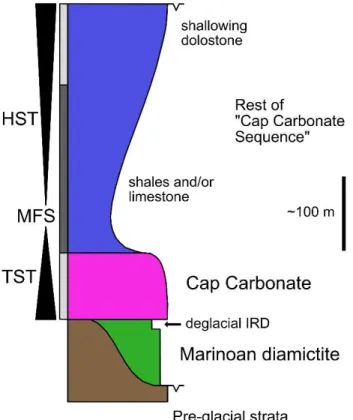 Fig. 1.2. Generalized sequence stratigraphic framework of cap carbonates commonly applied in the  literature