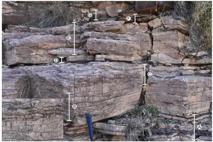 Figure 2.9. Stratigraphy of section NE from approximately 13 to 14.5 meters (Fig. 2.3) showing the  upper portion of the Tsondab member