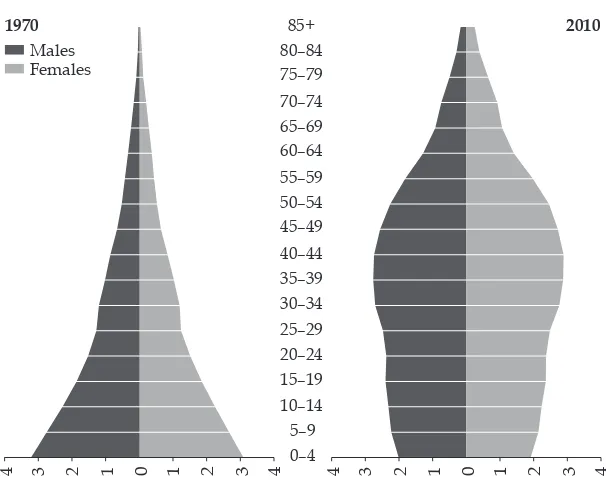 FIGURE 5 Age Distributions of Indonesia, 1970, 2010, and 2050 (population in millions)