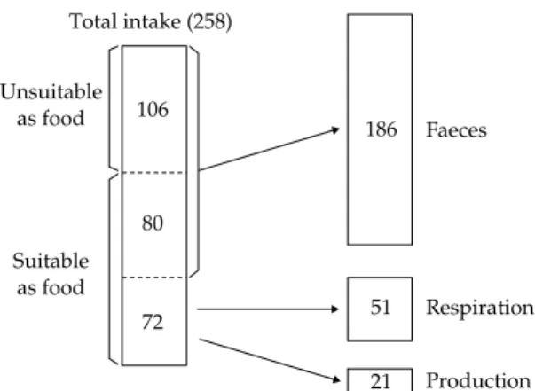 Figure 4.3 Schematic model of the main pathways in the energy budget of a population of 1 year old M