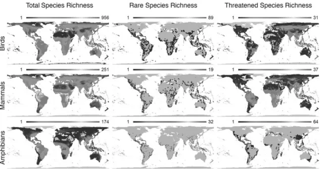 Figure 2.4 Global species richness patterns of birds, mammals, and amphibians, for total, rare (those in the lower quartile of range size for each group) and threatened (according to the IUCN criteria) species