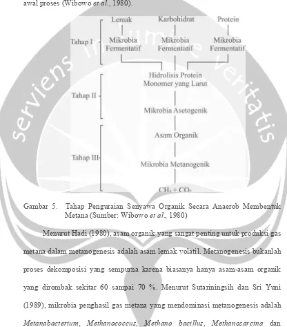 Gambar 5.  Tahap Penguraian Senyawa Organik Secara Anaerob Membentuk    