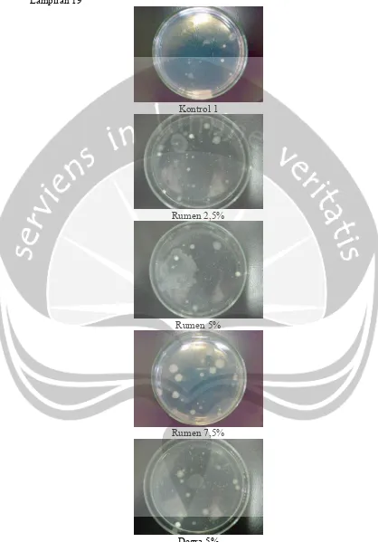 Gambar 27.  Koloni mikrobia dari berbagai variasi pelakuan pada hari ke-0 yang  ditumbuhkan pada medium NA setelah masa inkubasi 48 jam 