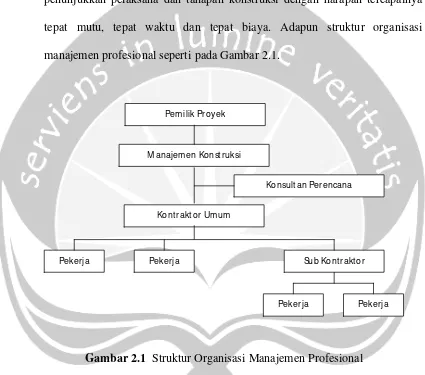 Gambar 2.1  Struktur Organisasi Manajemen Profesional