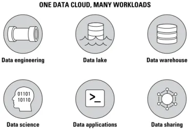 FIGURE 2-2:  The Data Cloud seamlessly supports the world’s most popular  data management and analytic workloads with no resource contention.