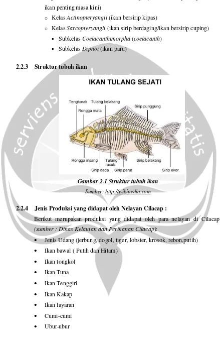 Gambar 2.1 Struktur tubuh ikan