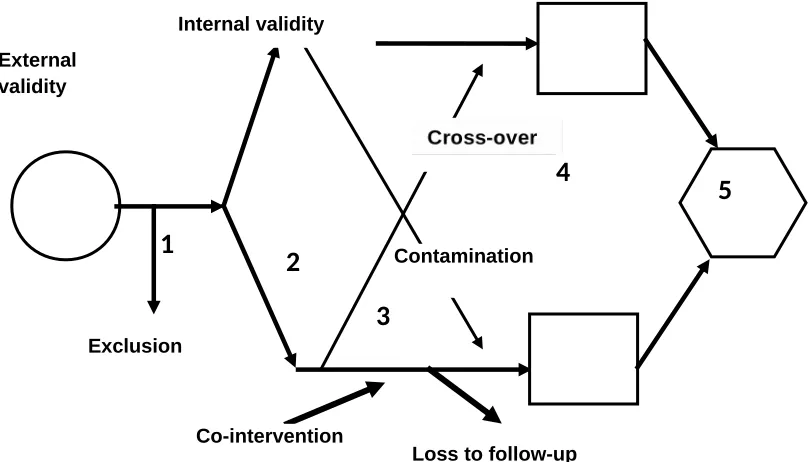 Figure 4: Internal validity of an RCT
