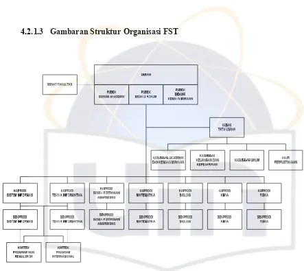 Gambar 4.1 Struktur Organisasi FST 