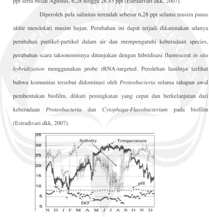 Gambar 9. : Variasi musiman (November 2002 hingga Desember 2003) dalamParameter – parameter keberadan air dalam lingkungan(salinitas, suhu, DO, dan pH) dari sampel (sumber: Estradivari dkk, 2007).