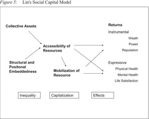 Figure 5: Lin's Social Capital Model 