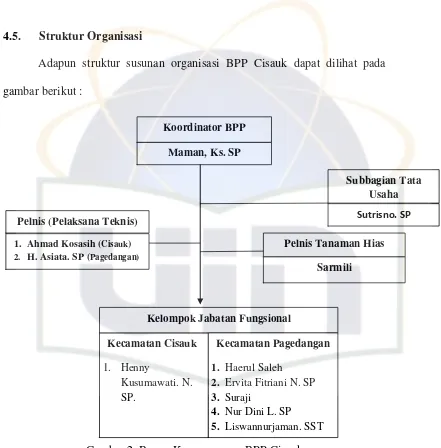 Gambar 2: Bagan Kepengurusan BPP Cisauk Sumber : Profil BPP Cisauk 2010  