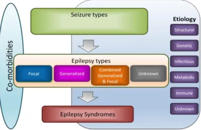 Gambar 1.2  Klasifikasi Epilepsi menurut ILAE  Tahun 2017 