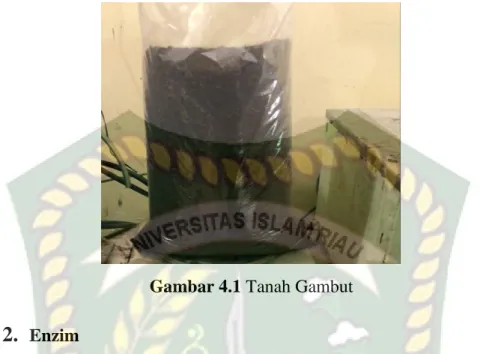 Gambar 4.2 Enzim Urease  3.  Urea 
