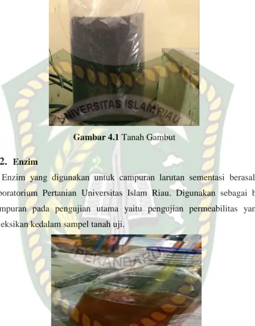 Gambar 4.1 Tanah Gambut 