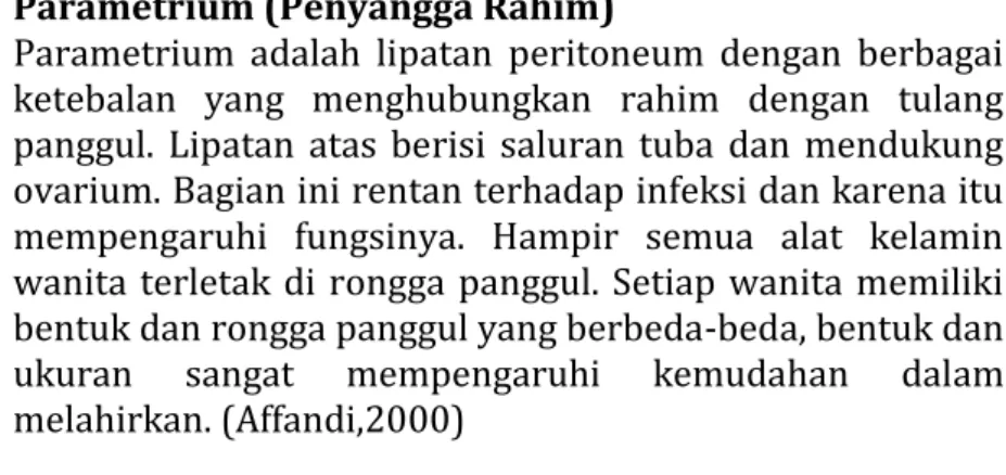 Gambar 3.6. Panggul Wanita Normal 