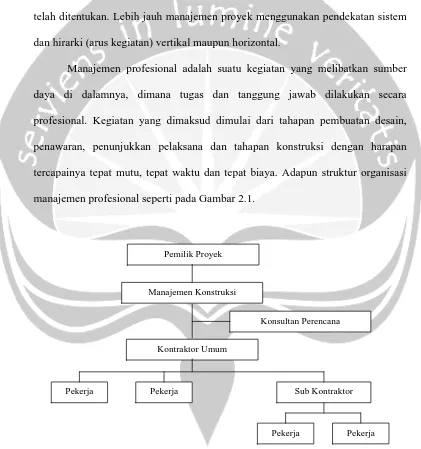 Gambar 2.1   Struktur Organisasi Manajemen Profesional  
