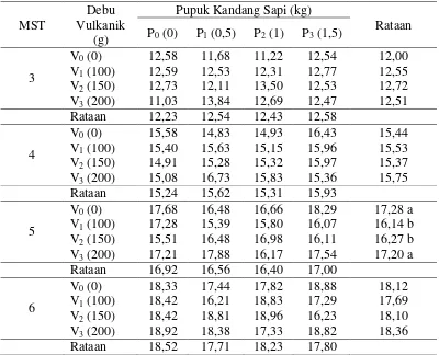 Tabel 1.Tinggi tanaman (cm) kedelai perlakuan debu vulkanik dan pupuk kandang sapi pada umur 3 – 5 MST 