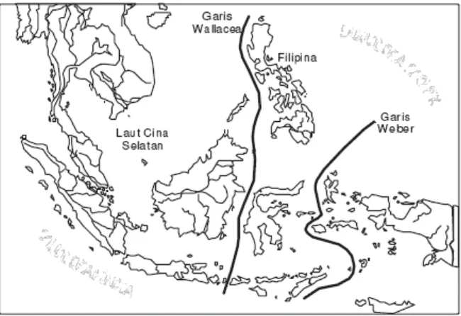 Gambar 1.1. Peta daerah flora dan fauna di Indonesia menurut Wallace dan Weber. Sumber: Buku Geografi SMU, Drs