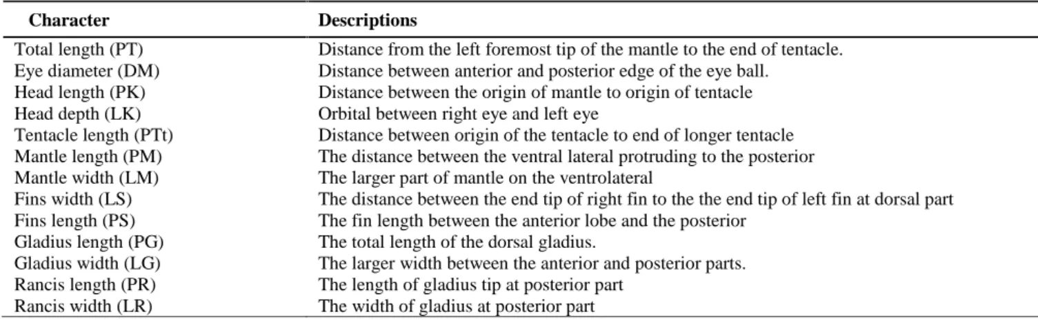 Table 1.  Description of morphometric characters of cephalopods examined in the study