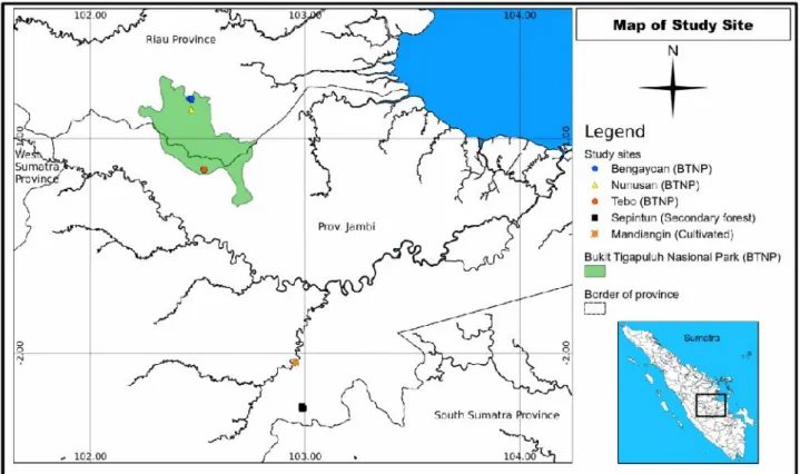 Figure 1. Daemonorops draco leaf sampling sites for genetic diversity research.