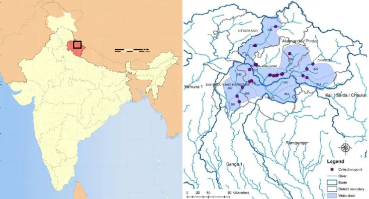 Figure 1. Fish sample collection map of locations in Uttarakhand, India