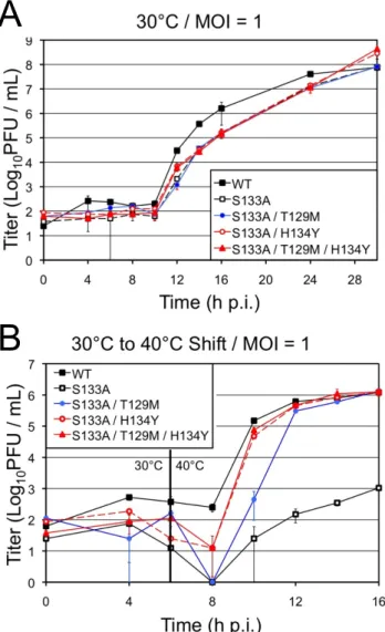 Fig. 2.1. Analysis of replication of tsS133A and suppressor mutants. A and B) Growth analysis of the  WT MHV, recombinant tsS133A, suppressor mutants (S133A/H134Y and  (S133A/T129M/H134Y), and  engineered mutant (S133A/T129M) grown at 30°C (A) or grown at 