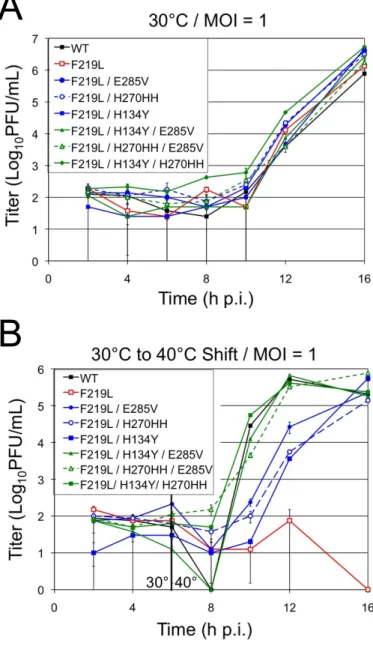 Fig. 2.2. Analysis of tsF219L and suppressor mutant EOP and replication. A and B) Growth analysis  of WT MHV, recombinant tsF219L, suppressor mutants (F219L/H134Y/E285V and 