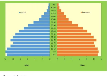 Grafik 5.1 Piramida Penduduk Indonesia 2010 