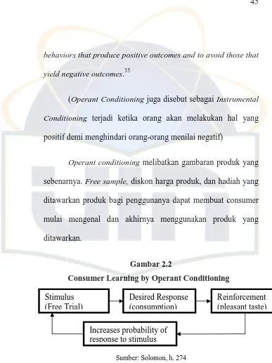 Gambar 2.2 Consumer Learning by Operant Conditioning 
