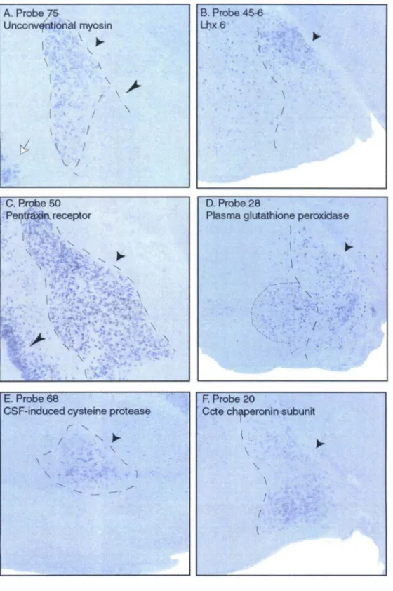 Chapter 1- Fig. 3 
