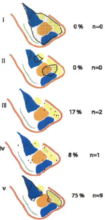 Chapter 1- Fig . 4 