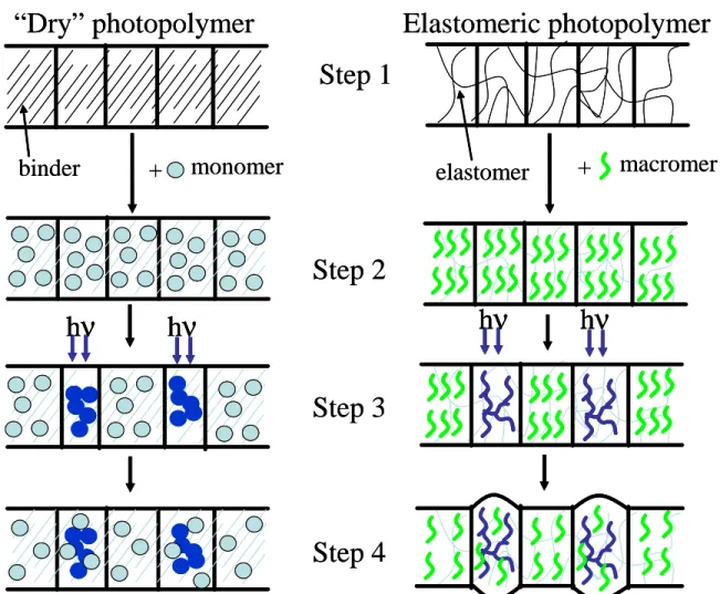 Figure 1.1. Spatially resolved photopolymerization for traditional and elastomeric photopolymers.