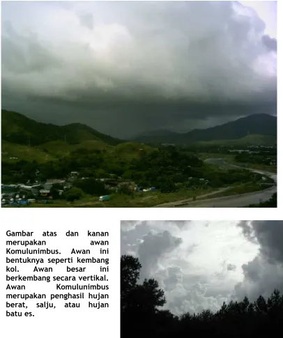 Gambar merupakan 