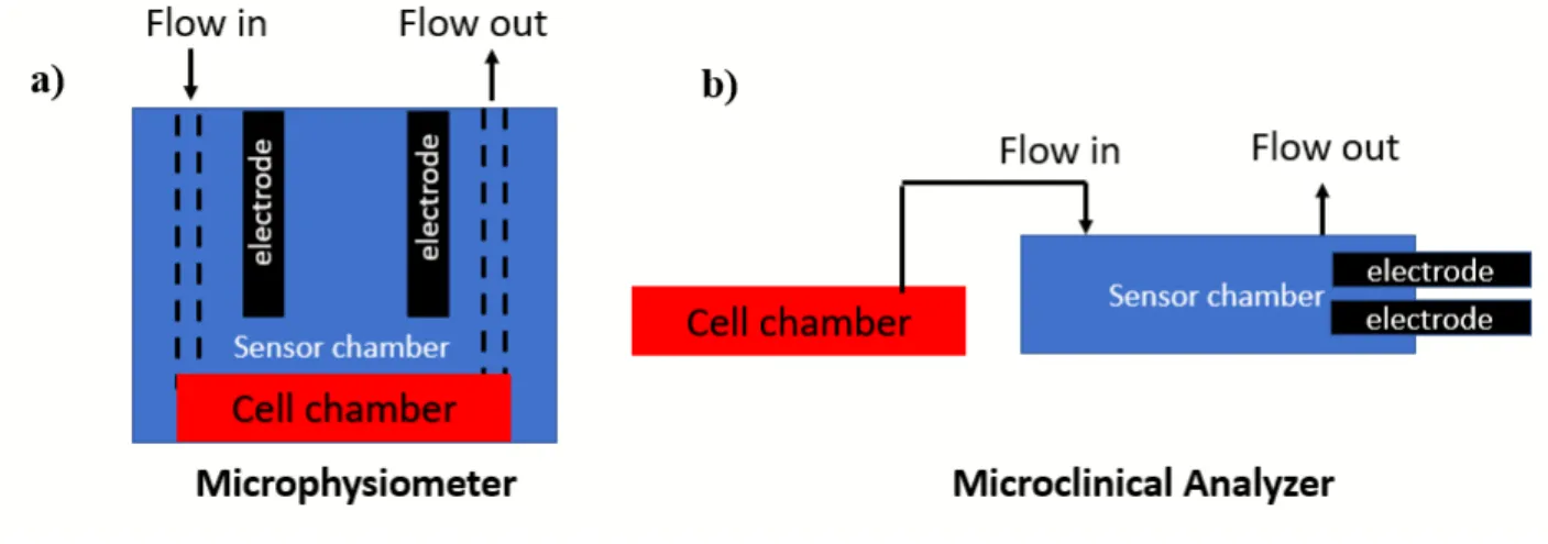 Figure  1.2  Simple schematic of different arrangement for metabolite detection –  a) in-situ  detection: microphysiometer where cells and sensor electrodes are colocalized, yielding improved  temporal and spatial resolution of detection; b) downstream det