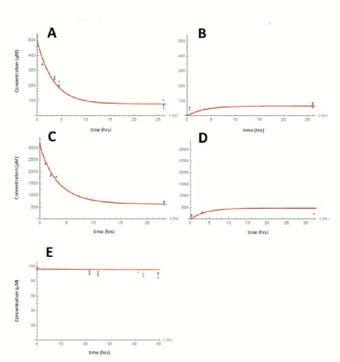 Figure S1: Simultaneous fit of microscopic model for binding kinetics (Equation 2.3) to all bisphenol A experiments