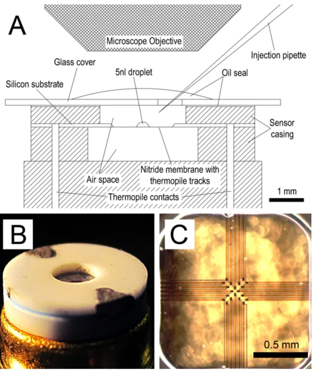 Figure  4.  Device layout.  (A)  Side-view schematic of calorimeter setup showing chamber sealing  with oil and sample delivery pipette