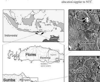 Figure 1. Location of study village areas on the islands of Sumba and Flores, Nusa Tenggara Timur